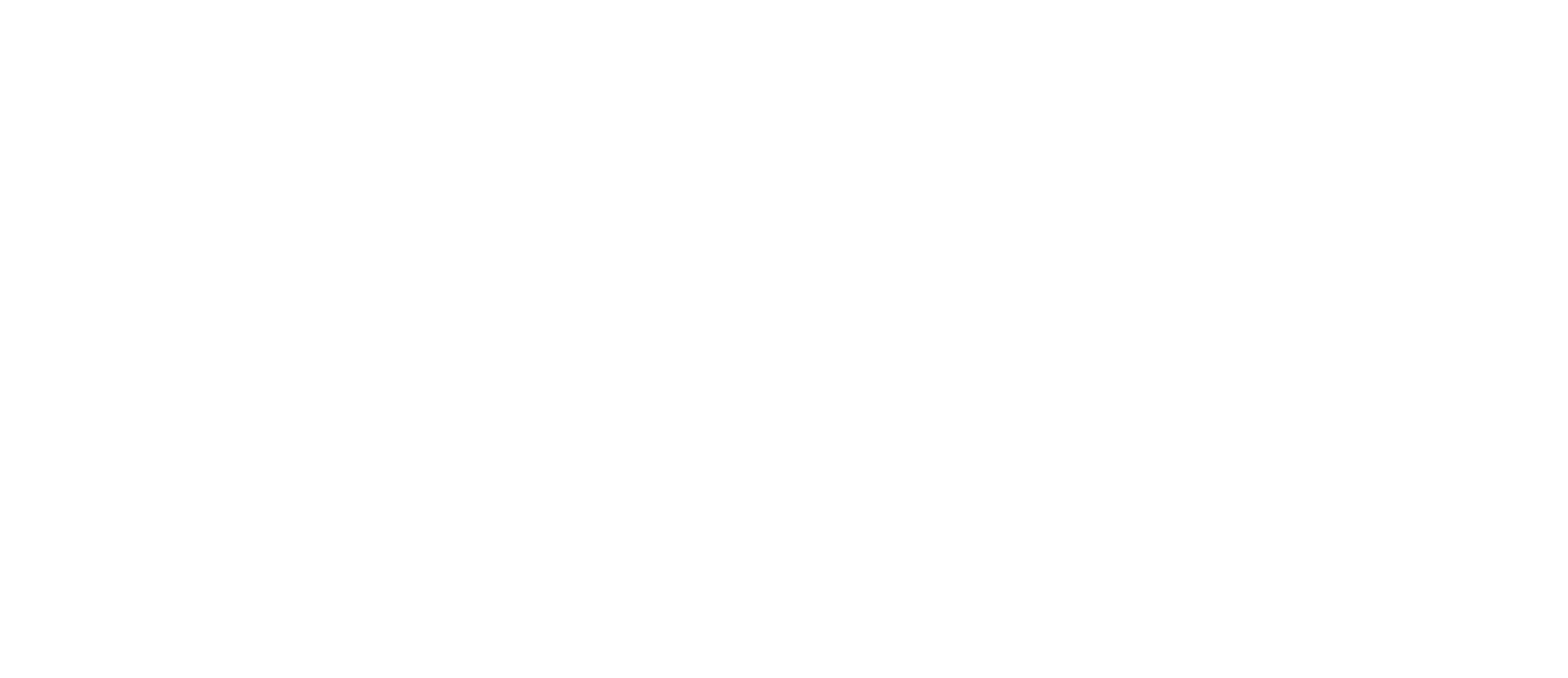 Tourise