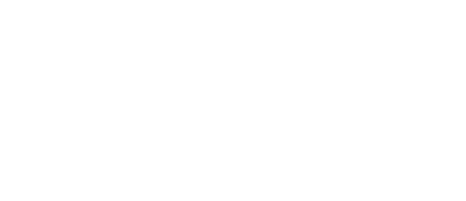 Tourise
