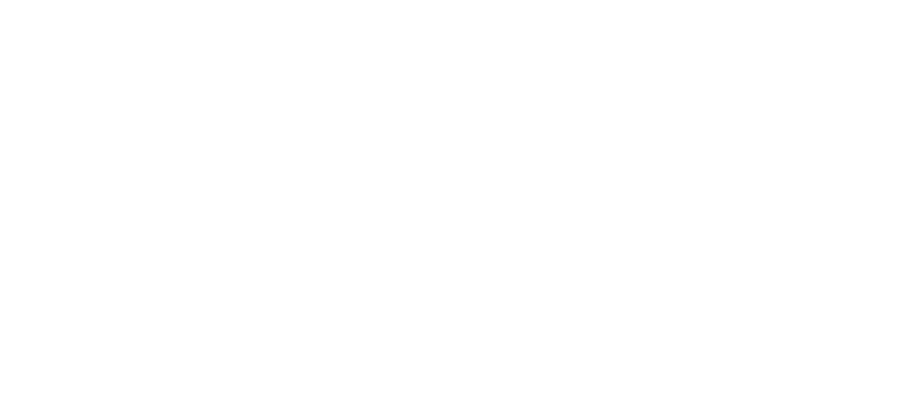 TOURISE
